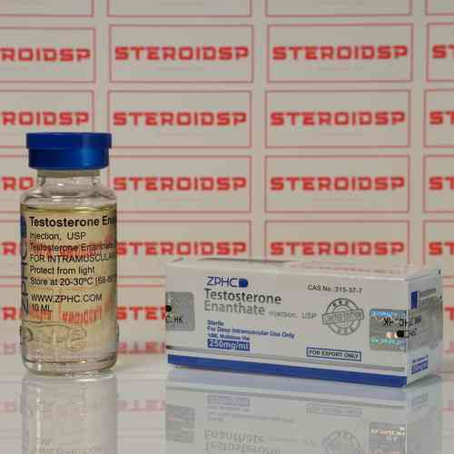 Тестостерон Энантат Чжэнчжоу 1 мл - Testosterone Enanthate Zhengzhou Pharmaceutical Co. Ltd