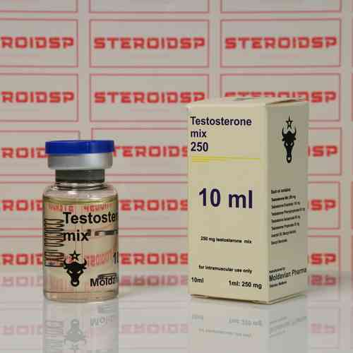 Микс Тестостеронов Молдавиан фарма 10 мл - Testosterone Mix Moldavian Pharma